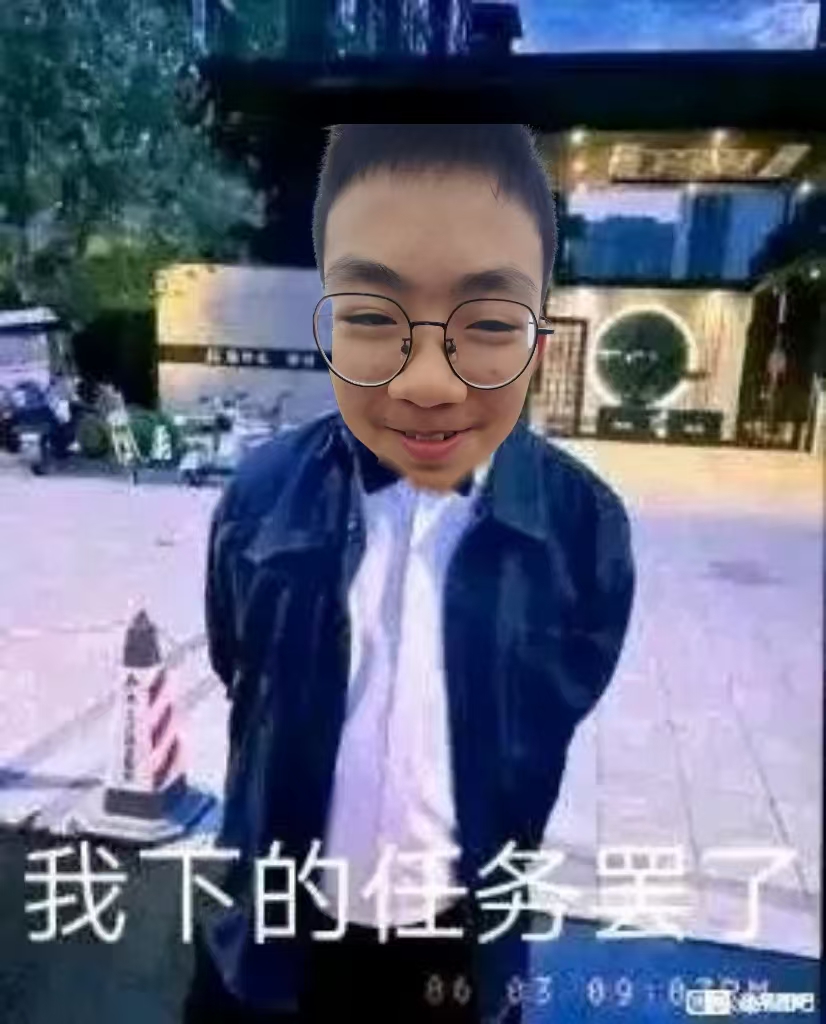配泼睿表情包，配文我下的任务罢了